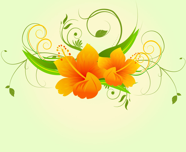 Abstract Floral Background. - Photo, Image