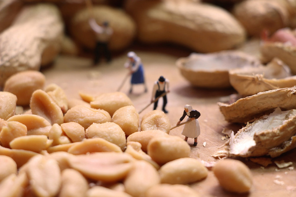 Миниатюрные фермеры готовят орехи
 - Фото, изображение