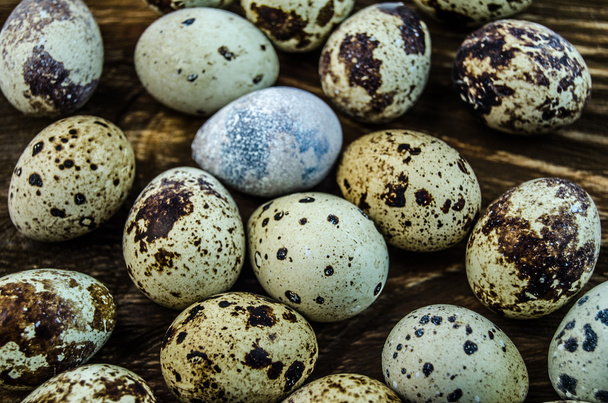 Spotted quail eggs - Foto, Imagem