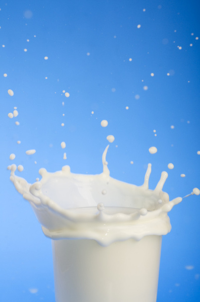 Milk splash close-up - Фото, зображення