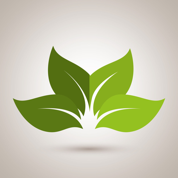 leaf icon  design - Vektor, Bild