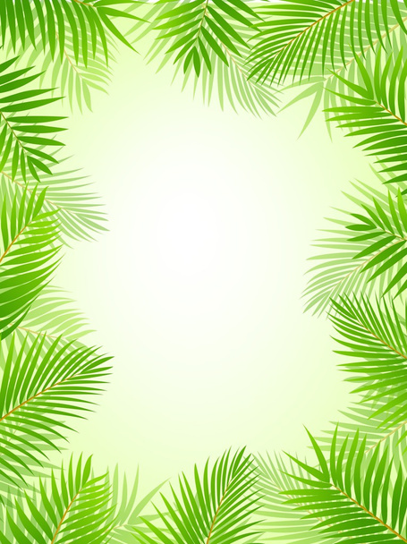 Palm tree frame background - Vector, afbeelding