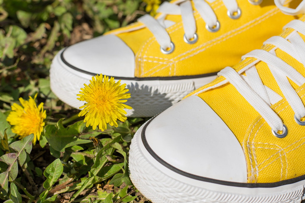 Keltaiset lenkkarit ja kevään kukat
 - Valokuva, kuva