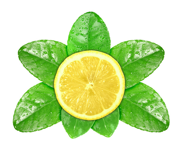 Lemon fruit on green leaf with dew - Foto, Imagem