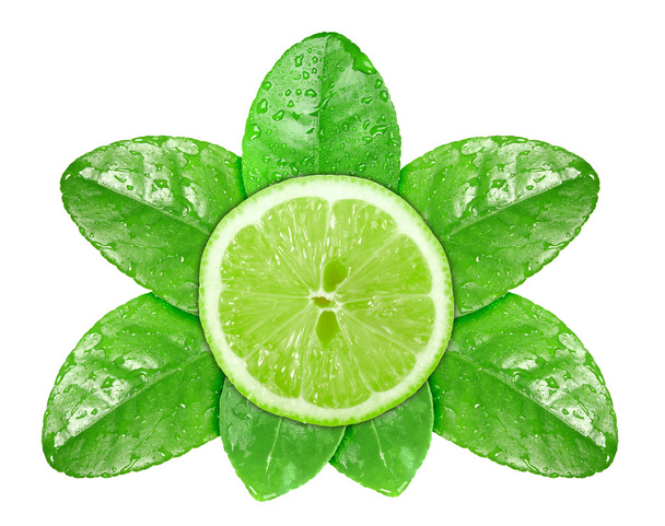 Lime fruit on green leaf with dew - Φωτογραφία, εικόνα