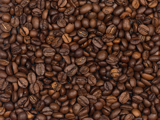 Coffee beans on blue paper. - Fotografie, Obrázek