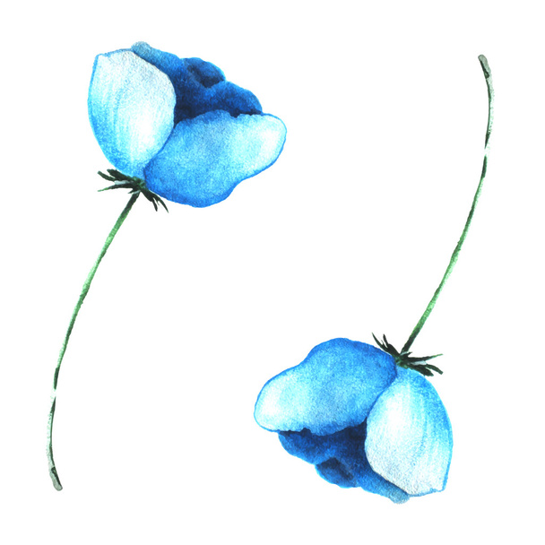 Błękitny kwiat wykonany akwarela - Wektor, obraz
