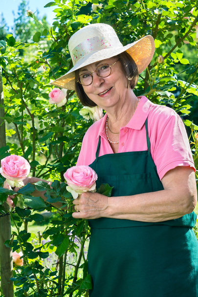 gardener standing next to tall pink roses. - Photo, image