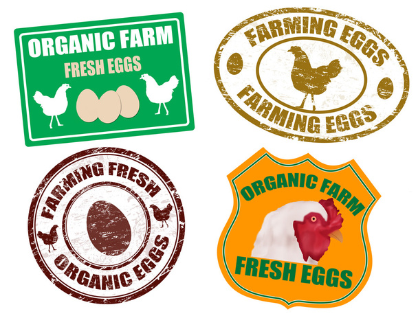 Farming eggs labels and stamps - Vector, Image