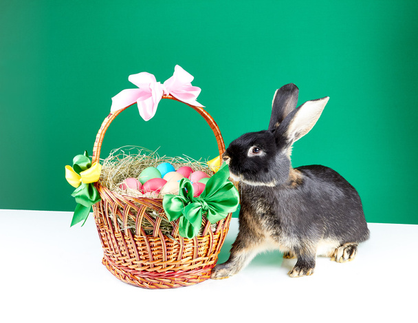 Em uma cesta de fundo verde com ovos de Páscoa e belo coelho
 - Foto, Imagem