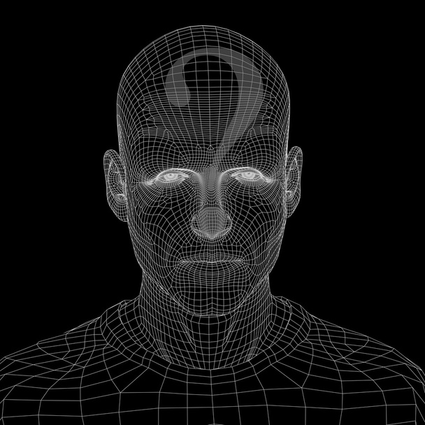wireframe human male - Photo, Image