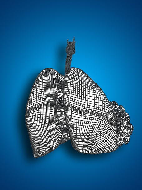mesh respiratory system - Photo, Image