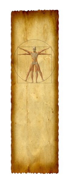 desenho do corpo humano vitruviano
 - Foto, Imagem