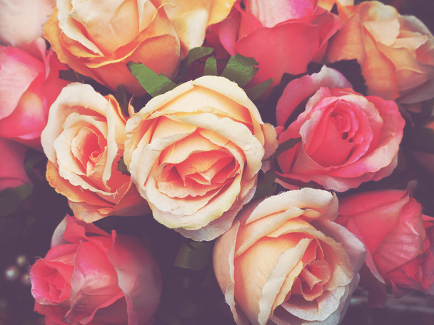 rose flower with retro filter effect  - 写真・画像