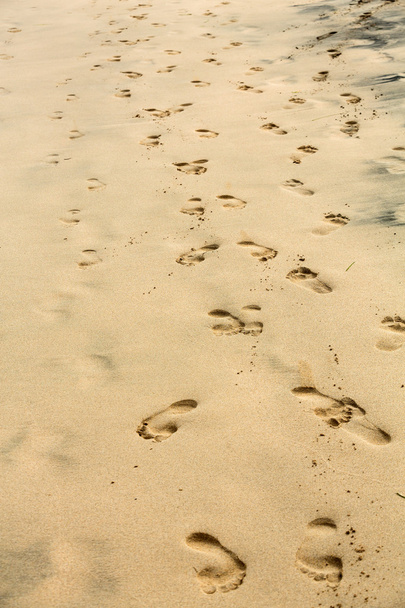 Ίχνη στην υγρή άμμο της παραλίας - Φωτογραφία, εικόνα