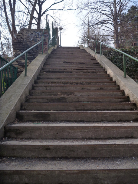 самотні паркові сходи в зимовий час
 - Фото, зображення