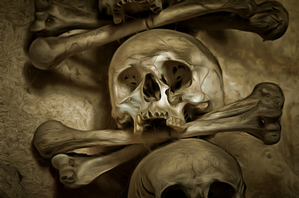 crâne et os humains
 - Photo, image