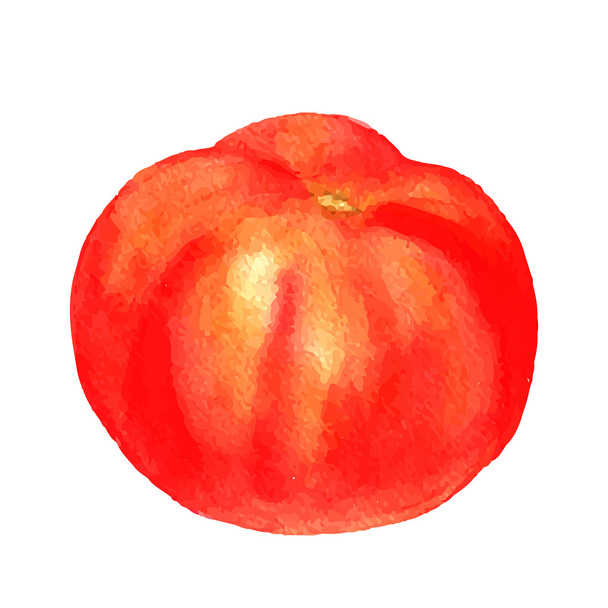 vector watercolor red tomato - Vector, imagen