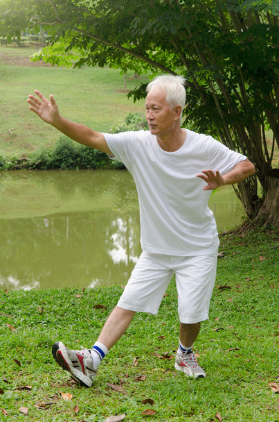 Asian man performing tai chi - Фото, зображення
