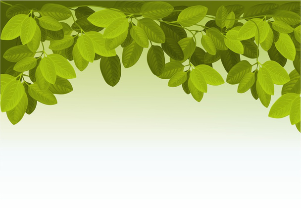 Природный фон с листьями плюща
 - Вектор,изображение