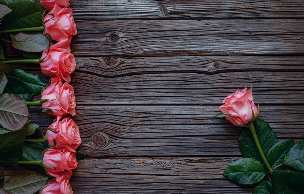 Side border of beautiful fresh pink roses - Foto, immagini