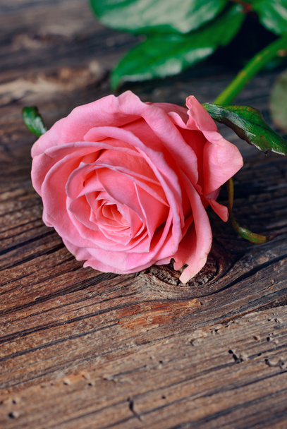 Één roze roos op een rustieke tafel - Foto, afbeelding