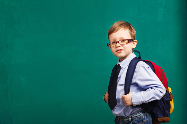 petit garçon dans les lunettes avec grand sac à dos
 - Photo, image