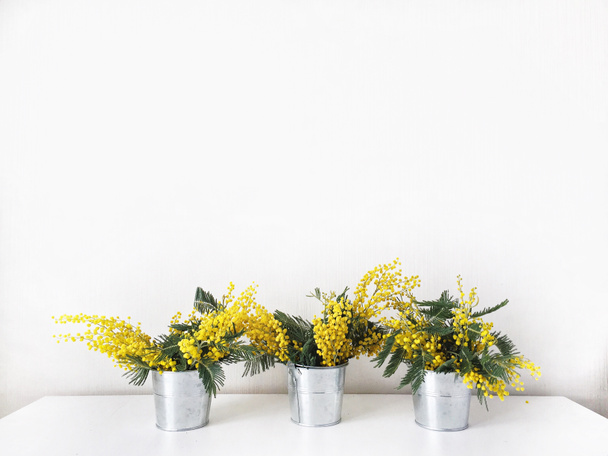 Bouquet of yellow mimosa in pail isolated on white background - Photo, Image