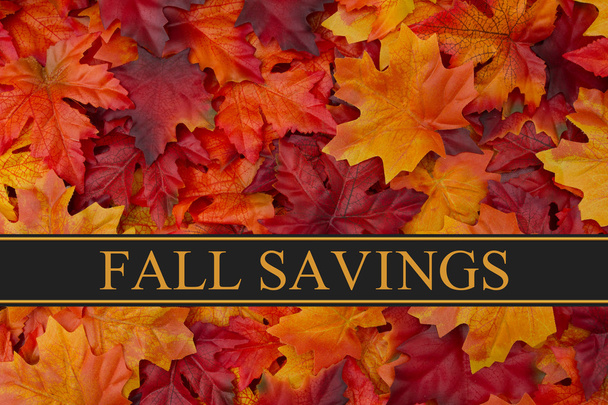 Fall Savings Message - Photo, Image