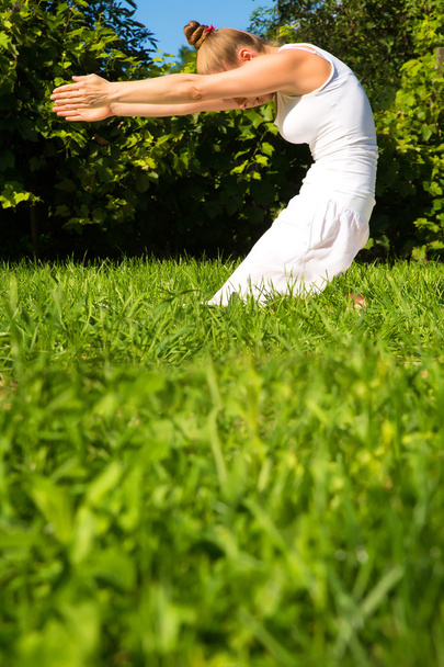 Yoga in the Park	 - Fotografie, Obrázek