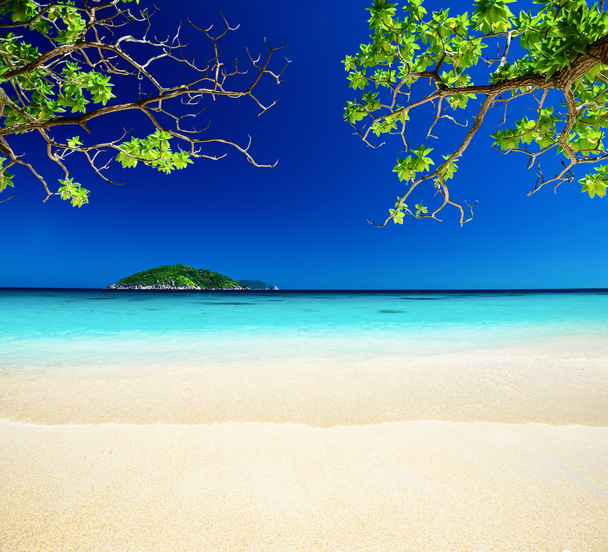 Similanin saarten maisema
 - Valokuva, kuva