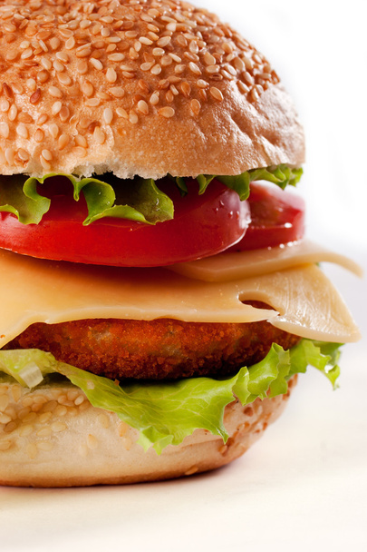 Hamburger isolated on white - 写真・画像