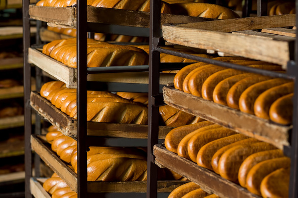Bread stacked on the shelves. - Foto, afbeelding