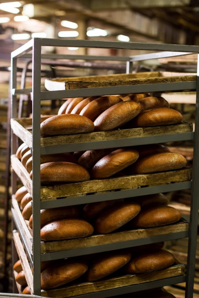 Baker puts freshly baked bread on the shelves. - Фото, зображення