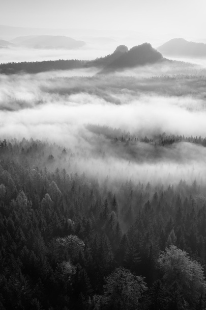 Fantastik gündoğumu sisli vadinin içine manzaralı kayalık dağ tepesinde. Siyah ve beyaz  - Fotoğraf, Görsel