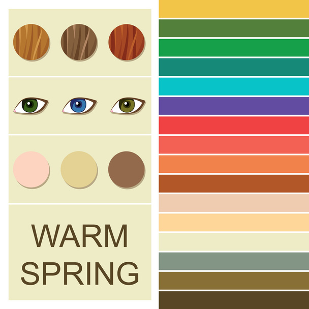 Lagervektor saisonale Farbanalysepalette für warme Frühlingstypen - Vektor, Bild