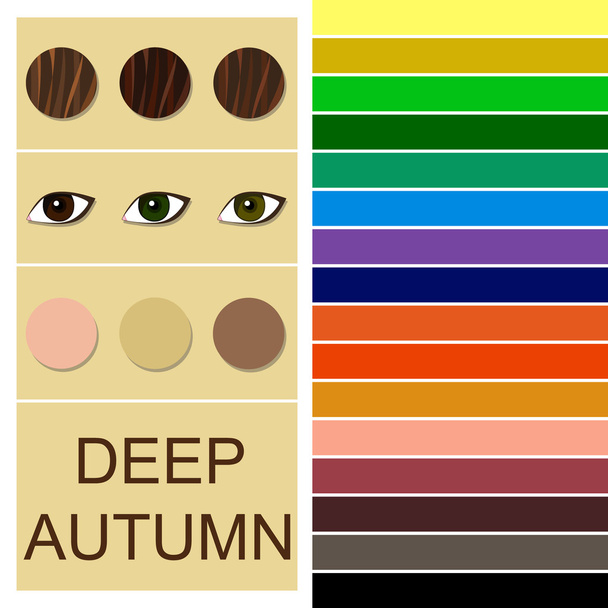 Stock vector seasonal color analysis palette for deep autumn type - Vector, Image