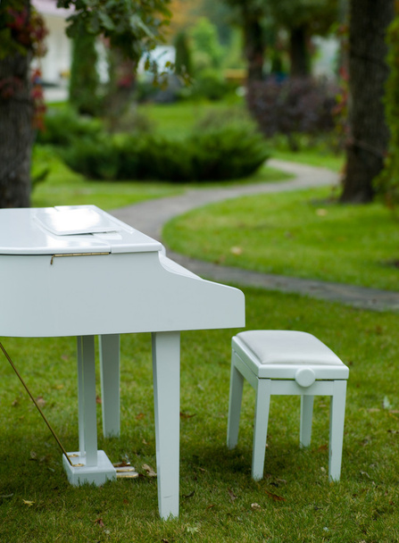 Piano in the Park - 写真・画像