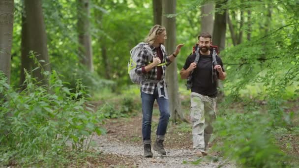  friends hiking in the woods - Metraje, vídeo