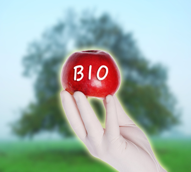Rode bio appel - Foto, afbeelding