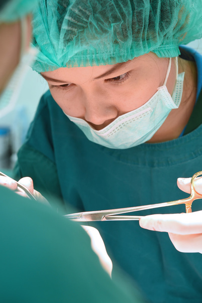 Ветеринарна хірургія в операційній
 - Фото, зображення