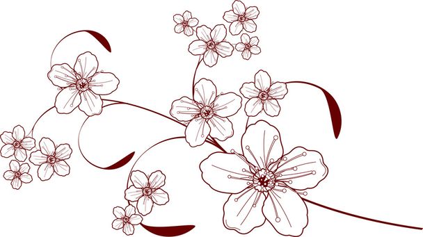Cherry blossom design - Vektori, kuva