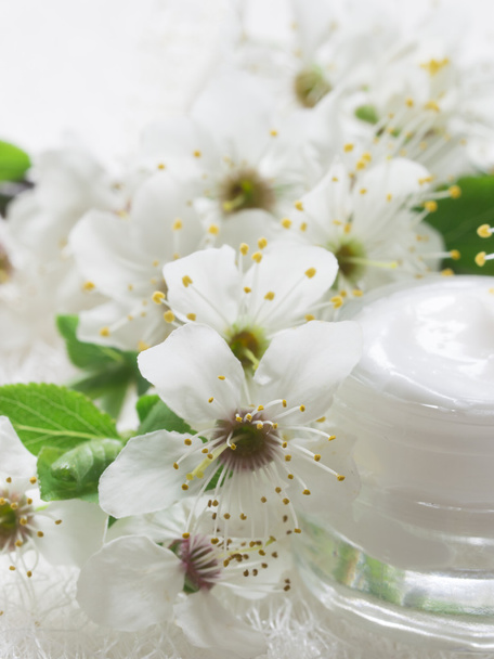 natural spa cosmetics - Photo, Image