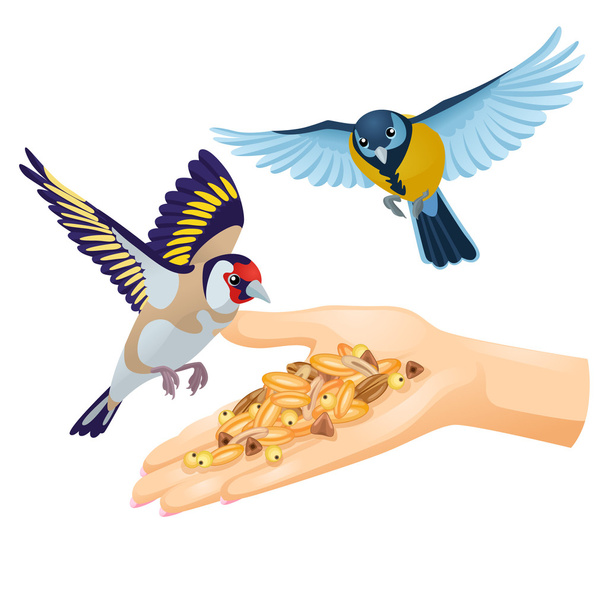 Goldfinch y titmouse vuelan sobre la mano con cereales
 - Vector, Imagen