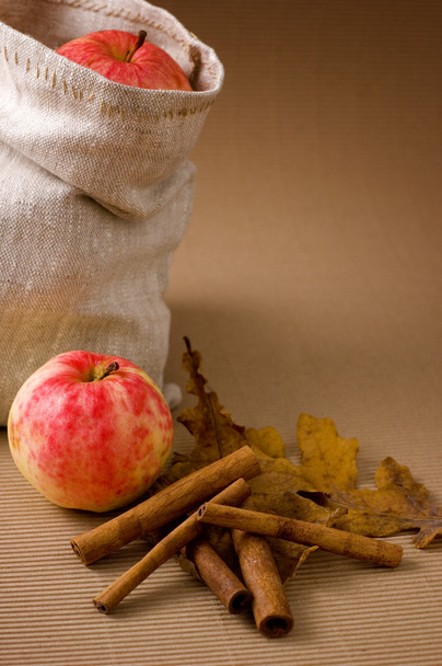 Apple and cinnamon - Photo, Image