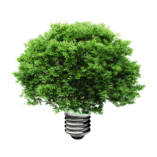 3d tree in a light bulb, green energy concept - Фото, зображення
