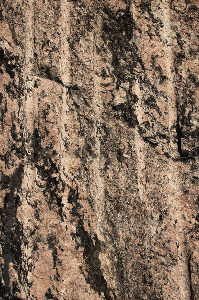 Vista frontal de la superficie rocosa
 - Foto, imagen