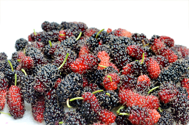 Mulberries - Fotografie, Obrázek