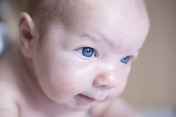 Twee maand oude baby jongen portret op bed - Foto, afbeelding