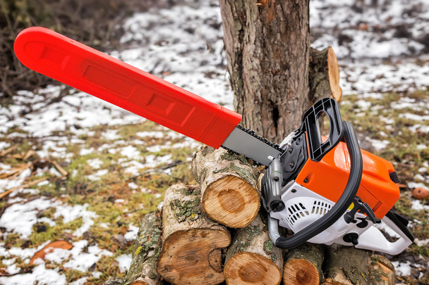 Chainsaw and cut tree branches. - Fotó, kép